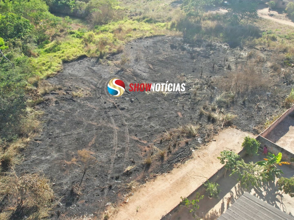 Fogo destri vegetao e coloca casas em riscos no bairro Porto Seguro.