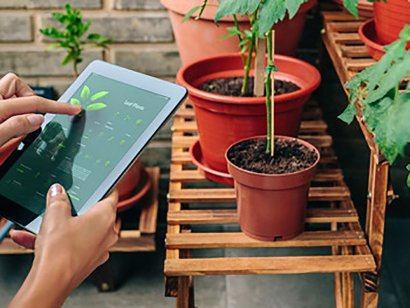 Uso de inteligncia artificial na agropecuria brasileira: otimizando a produo e reduzindo custos