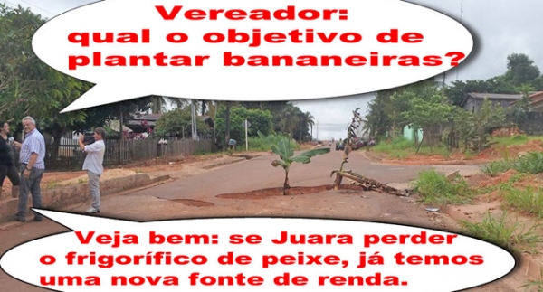 Depois do frigorfico de peixe, buracos quadrados, Maurinho Som planta bananeiras em Juara.