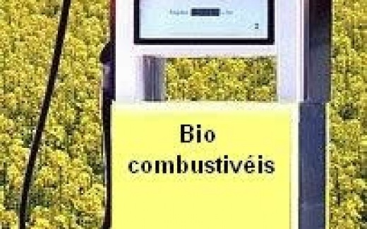 Biocombustveis so aposta das areas para reduzir emisses