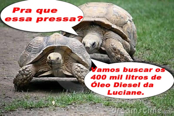 400 mil litros de leo diesel prometidos por Luciane at agora no chegaram em Juara. H muita promessa e pouca ao.. Diz Piovesan.