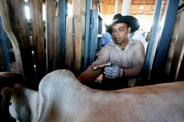 Campanha de vacinao em Mato Grosso comea dia 1 de maio