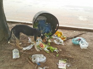 Vejam como é tratado o lixo em Juara. Esse estava em frente a uma lanchonete na Praça dos Colonizadores