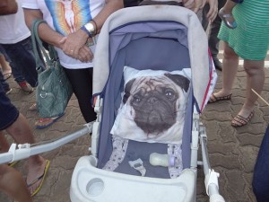 Mamãe leva bebê Faro Fino de Bebê Conforto para assistir ao desfile de 07 de Setembro