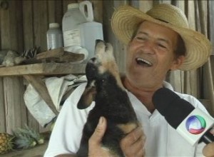 Celebridade: Primo Cãontor do Faro Fino vira notícia TV Juara.